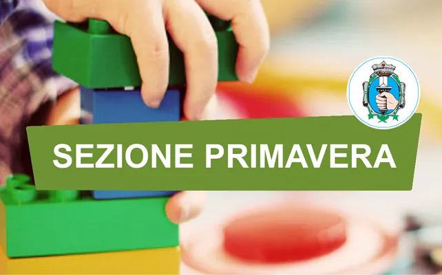 Presentazione istanze per contributi finanziari per il funzionamento delle sezioni primavera. Annualità 2022.